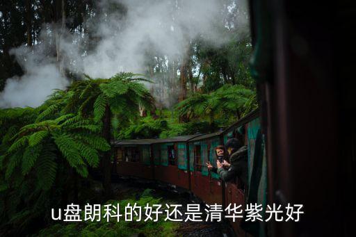 u盤朗科的好還是清華紫光好