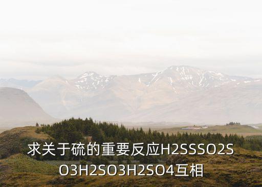 硫化反應(yīng)，什么叫作硫化