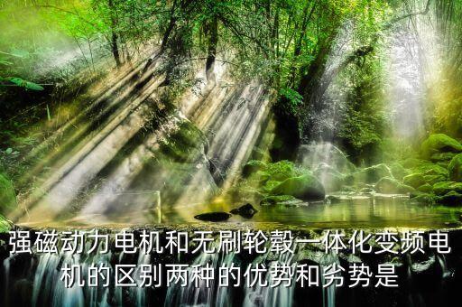 輪轂電機的優(yōu)缺點，強磁動力電機和無刷輪轂一體化變頻電機的區(qū)別兩種的優(yōu)勢和劣勢是