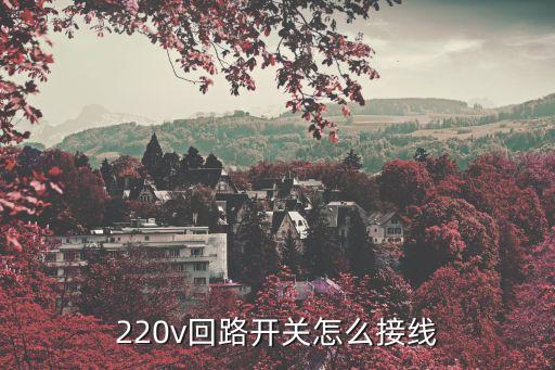 220v回路開關怎么接線