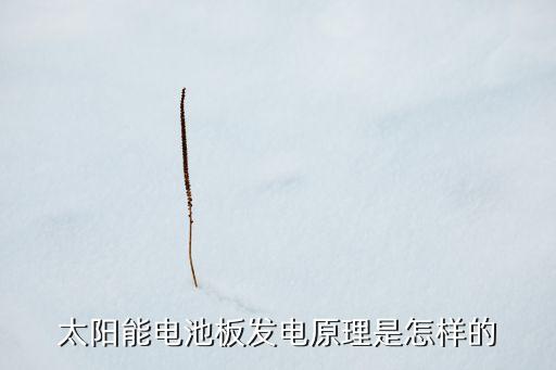 太陽能電池板發(fā)電原理是怎樣的