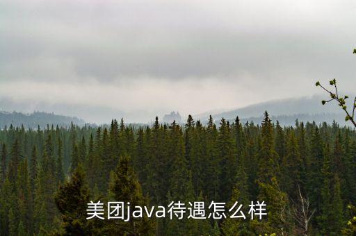 美團(tuán)java待遇怎么樣