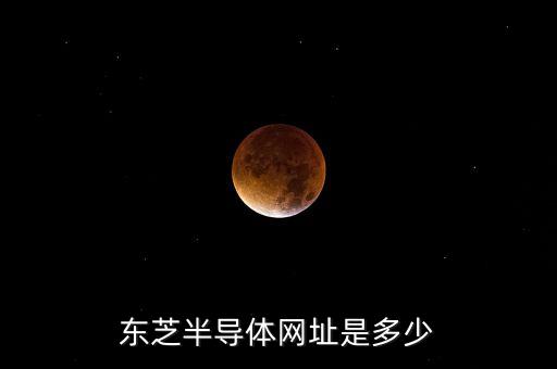 東芝半導(dǎo)體網(wǎng)址是多少