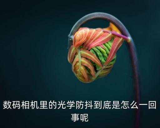 數(shù)碼相機(jī)里的光學(xué)防抖到底是怎么一回事呢