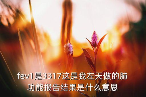 fev1是3317這是我左天做的肺功能報告結(jié)果是什么意思