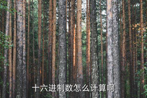 十六進(jìn)制怎么算，16進(jìn)制怎么算要簡(jiǎn)單明了不要太復(fù)雜