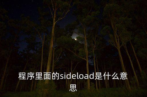 程序里面的sideload是什么意思