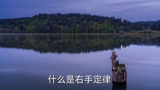 什么是右手定律