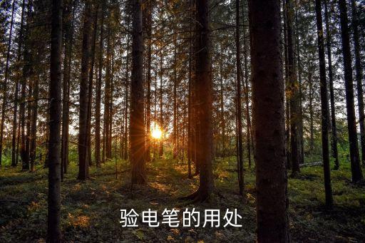 驗電筆的用處