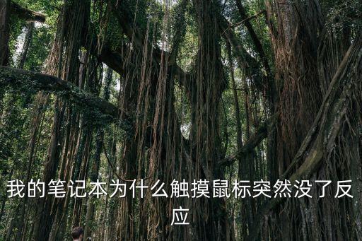 我的筆記本為什么觸摸鼠標(biāo)突然沒(méi)了反應(yīng)