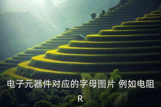 電子元器件對應的字母圖片 例如電阻R