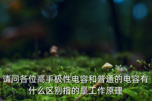 有極性電容，常見的有極性的電容有哪些