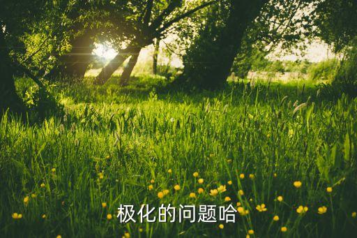 極化的問題哈