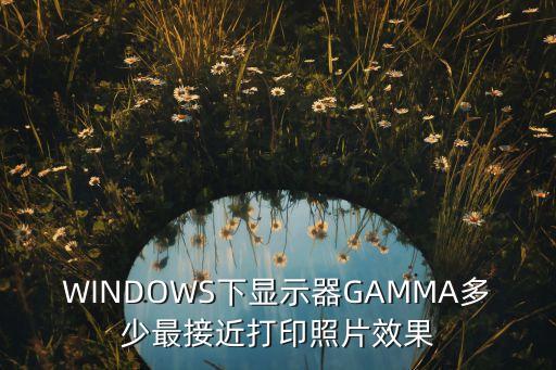 WINDOWS下顯示器GAMMA多少最接近打印照片效果