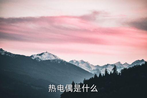 熱電偶是什么
