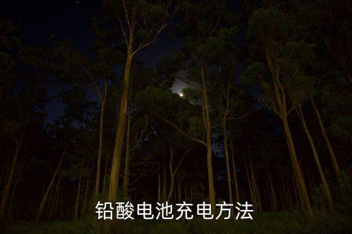 鉛酸電池充電方法