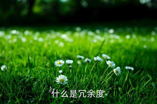 什么是冗余度