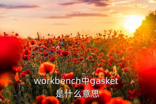 gasket，workbench中gasket 是什么意思