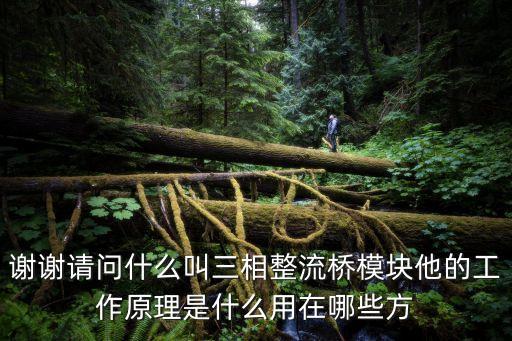 謝謝請問什么叫三相整流橋模塊他的工作原理是什么用在哪些方