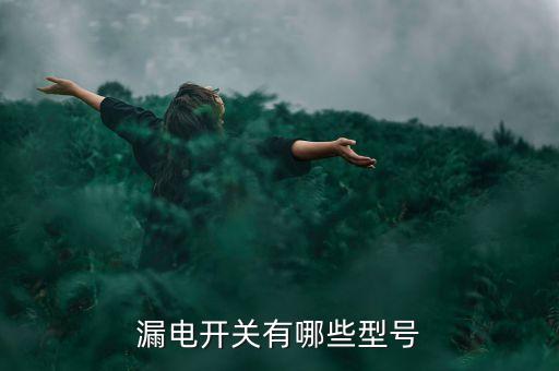 漏電開關(guān)有哪些型號(hào)