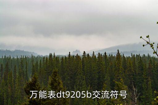 萬能表dt9205b交流符號(hào)