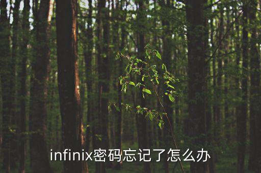 infinix密碼忘記了怎么辦