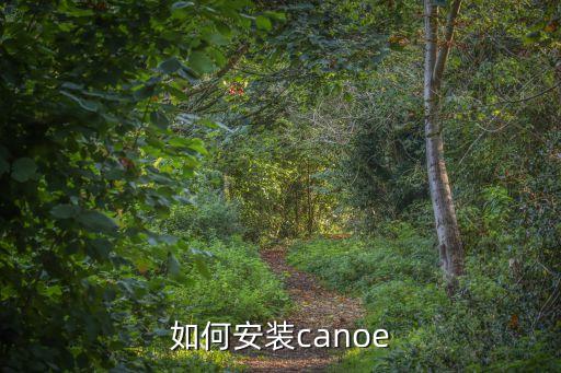 canoe軟件，CANScope和CANOE相比有什么特色