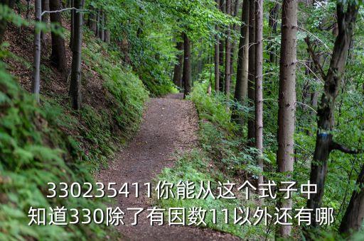 330235411你能從這個(gè)式子中知道330除了有因數(shù)11以外還有哪