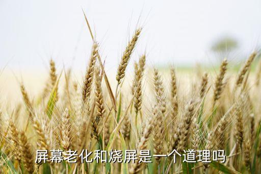 屏幕老化和燒屏是一個(gè)道理嗎