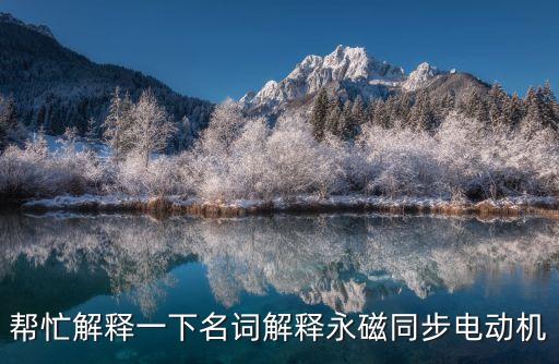 幫忙解釋一下名詞解釋永磁同步電動機