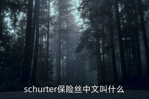 schurter保險(xiǎn)絲中文叫什么
