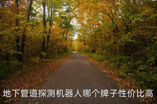 管道檢測機器人，請介紹一下管道檢測機器人有哪些功能作用國內有沒有做的比較好的