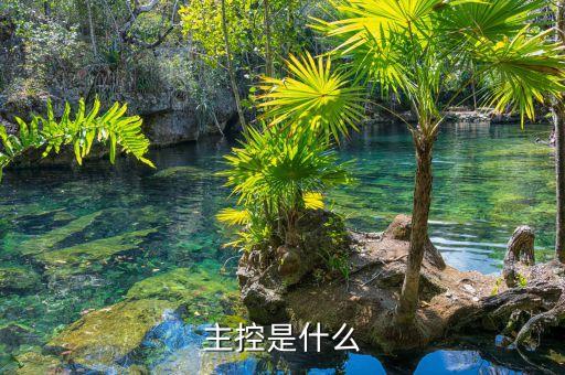 主控是什么意思，總線主控是怎么回事