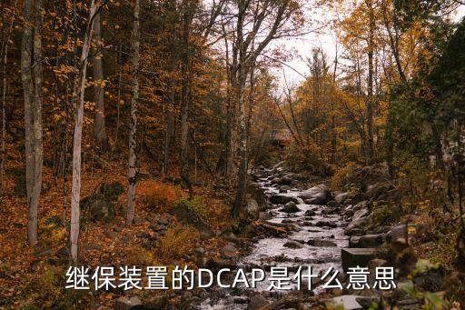 繼保裝置的DCAP是什么意思