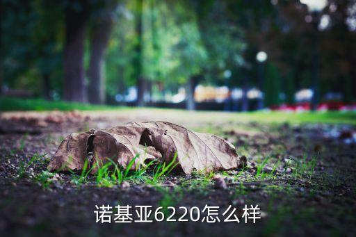 諾基亞6220怎么樣