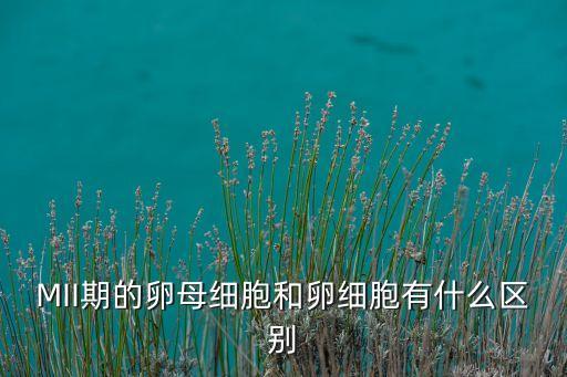 MII期的卵母細(xì)胞和卵細(xì)胞有什么區(qū)別