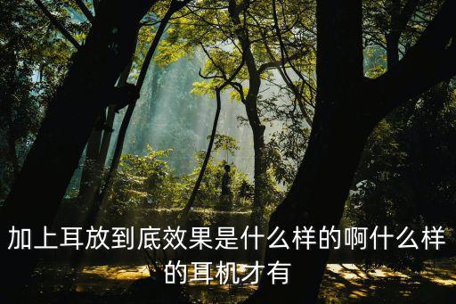 耳放是什么意思，加上耳放到底效果是什么樣的啊什么樣的耳機才有