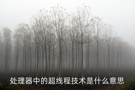 處理器中的超線程技術(shù)是什么意思