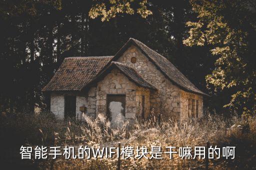 智能手機的WIFI模塊是干嘛用的啊