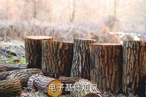 電子基礎(chǔ)，電子技術(shù)基礎(chǔ)東西該學(xué)些什么