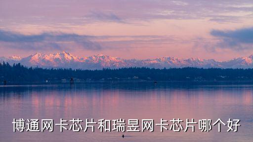 瑞昱芯片，瑞昱主營什么芯片呢