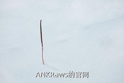 ANKRaws的官網(wǎng)