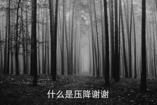 什么是壓降謝謝
