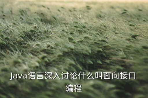 Java語言深入討論什么叫面向接口編程