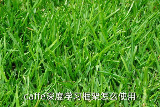 caffe深度學(xué)習(xí)框架怎么使用