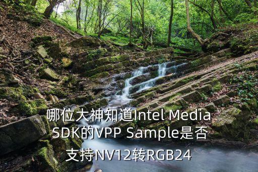 哪位大神知道Intel Media SDK的VPP Sample是否支持NV12轉(zhuǎn)RGB24