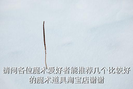 魔術(shù)產(chǎn)品，原創(chuàng)德國(guó) 法國(guó) 荷蘭等地有什么魔術(shù)特產(chǎn)嗎
