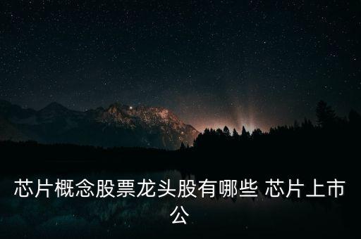 芯片概念股票龍頭股有哪些 芯片上市公