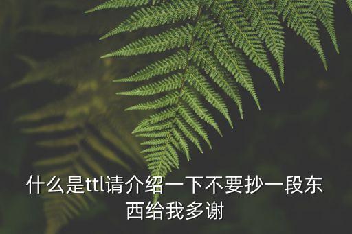 什么是ttl請介紹一下不要抄一段東西給我多謝