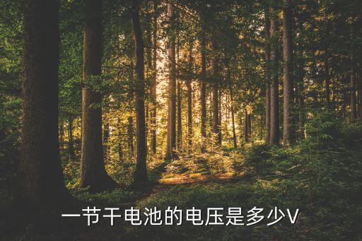 一節(jié)干電池的電壓是多少V
